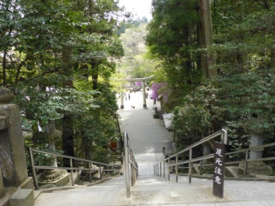 画像42